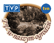 Telewizja w naszym ogrodzie